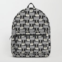 Beautiful Border Collie Backpack