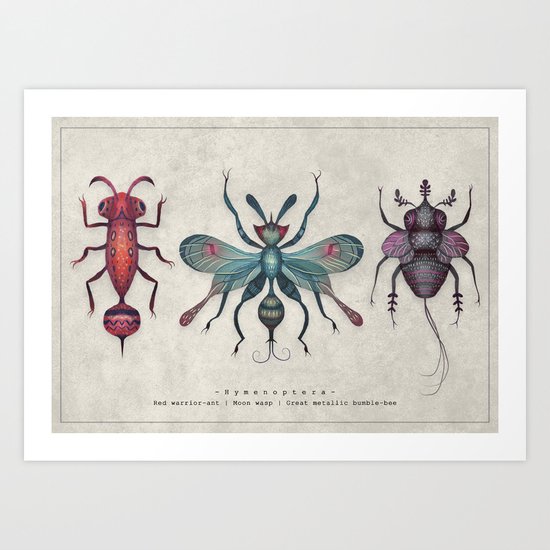 The Hymenoptera Art Print