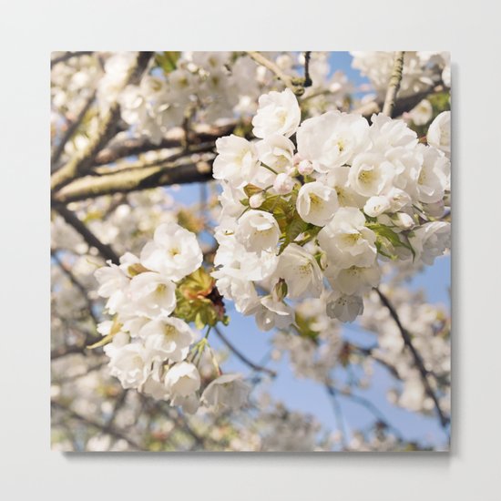 Hello Spring #3 Metal Print