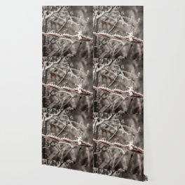 Barb Wire Wallpaper For Any Decor Style Society6