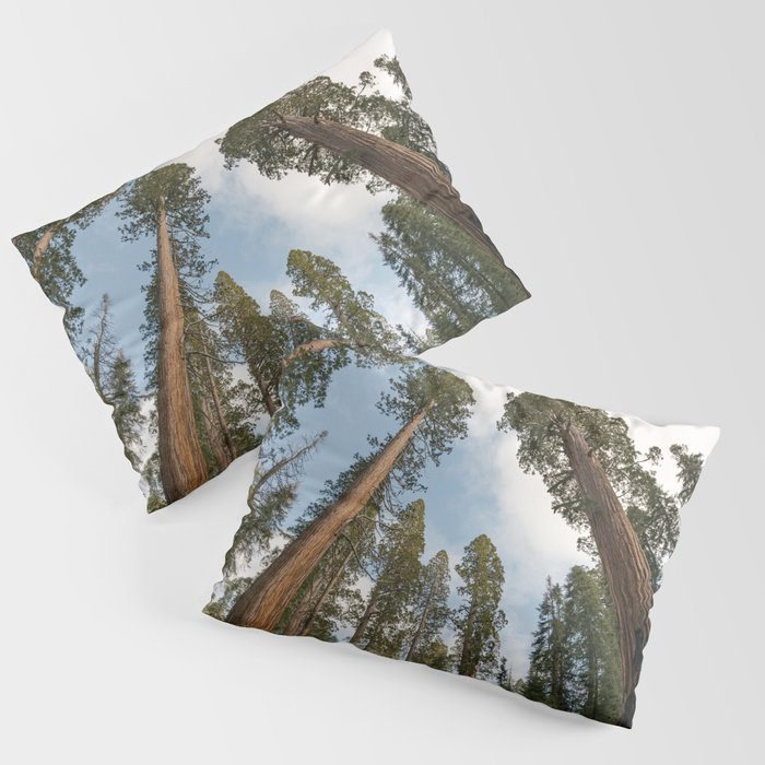 Redwood Sky - Giant Sequoia Trees Pillow Sham