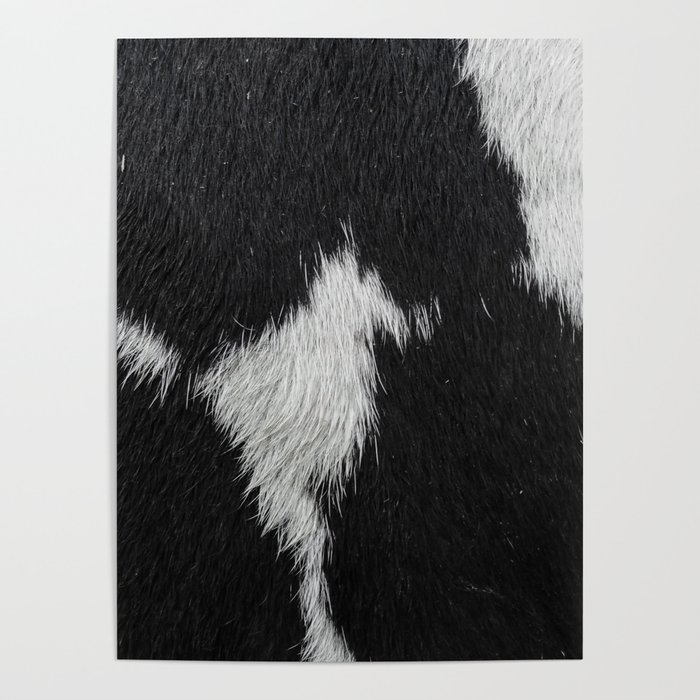 Black Cowhide, Cow Skin Print Pattern, Modern Cowhide Faux Leather Poster