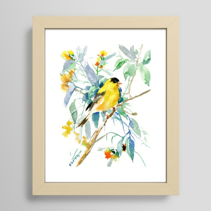 American Goldfinch, yellow sage green birds and flowers Framed Art Print
