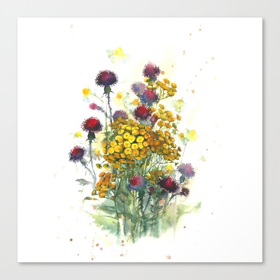 Watercolor wildflowers, aquarelle Canvas Print