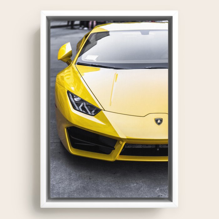 Framed Canvas