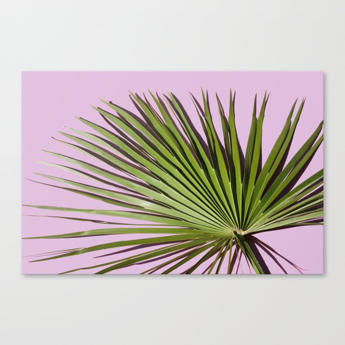 Palm on Lavender Canvas Print