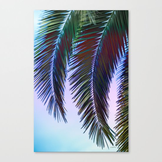 Western Sunset Canvas Print