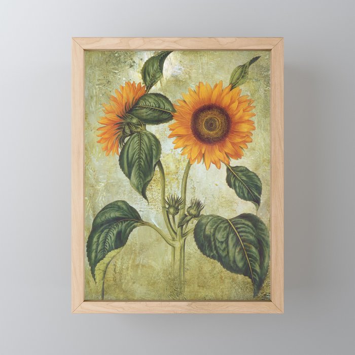 Vintage sunflower grunge style 3 Framed Mini Art Print