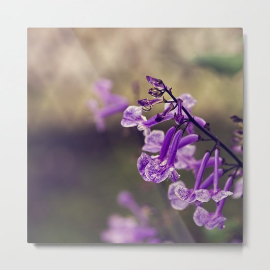 Mona Lavender Metal Print