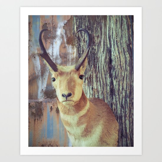 Urban Animal Art Print