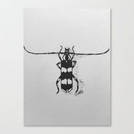 Banded Alder Borer Beetle Canvas Print