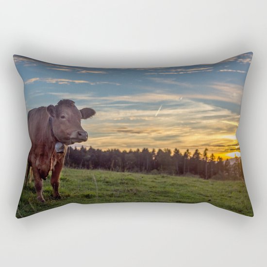 Switzerland Rectangular Pillow