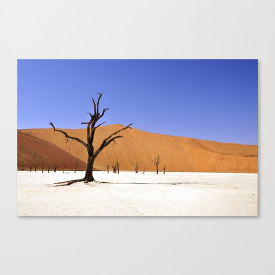 desert tree 4 Canvas Print