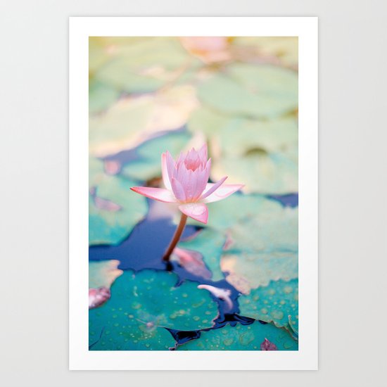 water lily Art Print