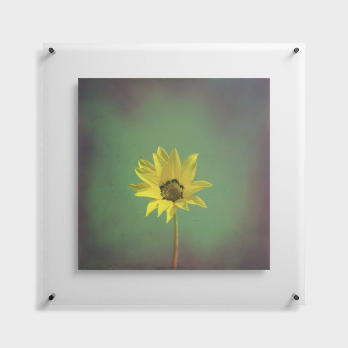 The yellow flower of my old friend Floating Acrylic Print