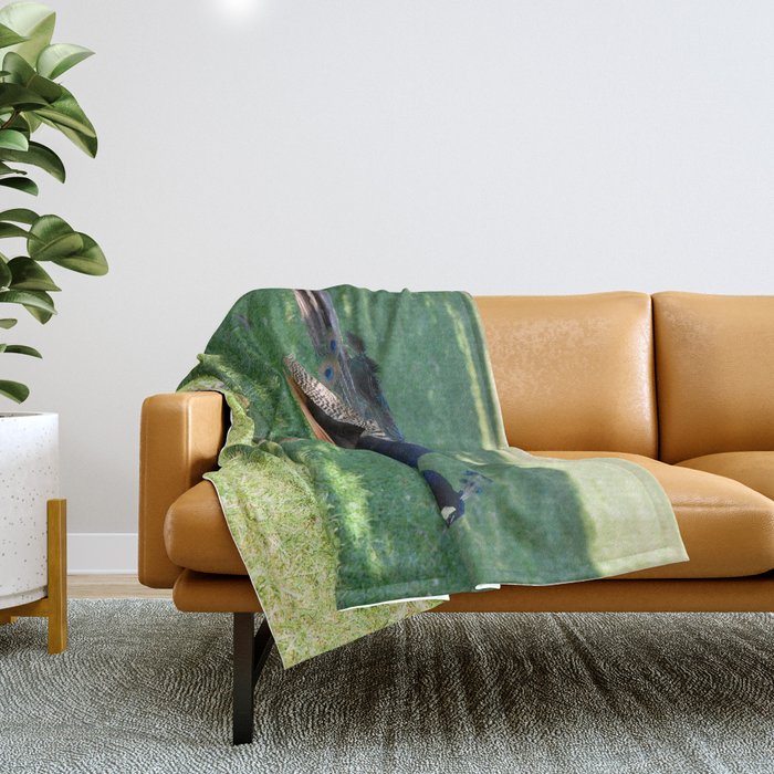 Peacock in the park Throw Blanket