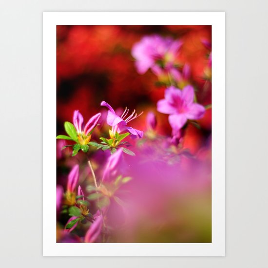 Colors Art Print