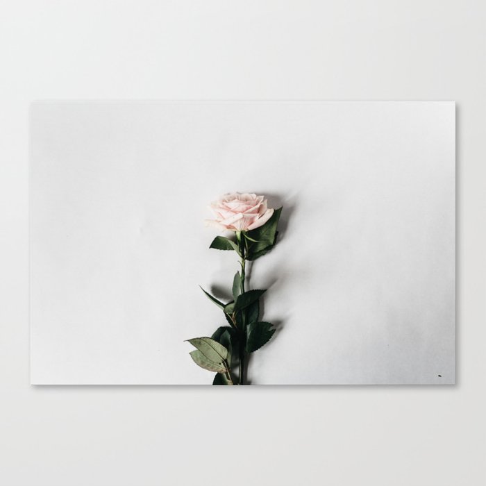 Minimalist Rose Canvas Print