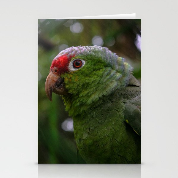 Amazon Green Parrot in Costa Rica Stationery Cards