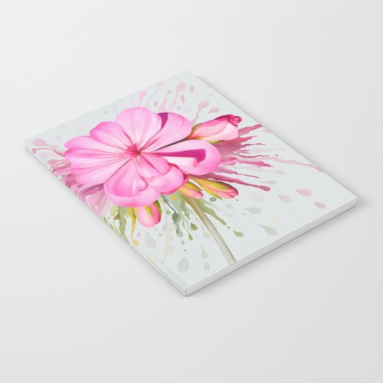 Color Eruption Notebook