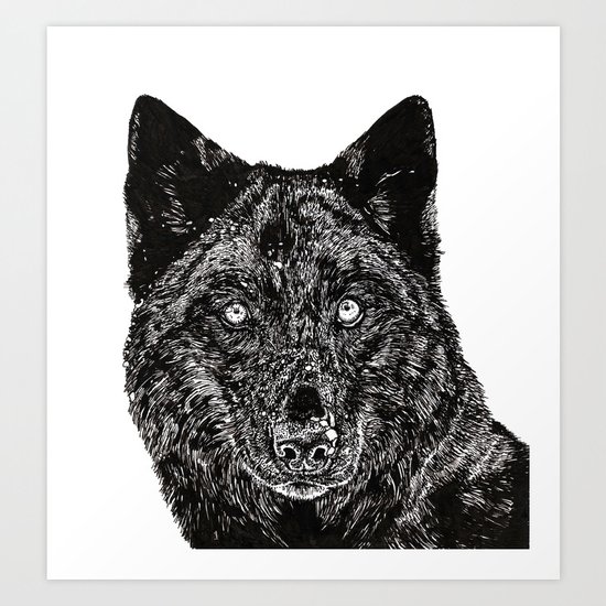 Wolf Art Print