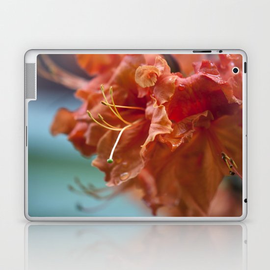 Summertime Laptop & iPad Skin