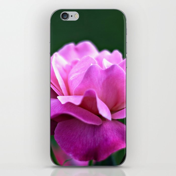 una rosa iPhone Skin