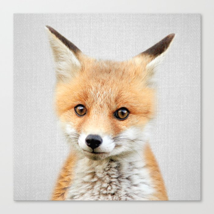 Baby Fox - Colorful Canvas Print