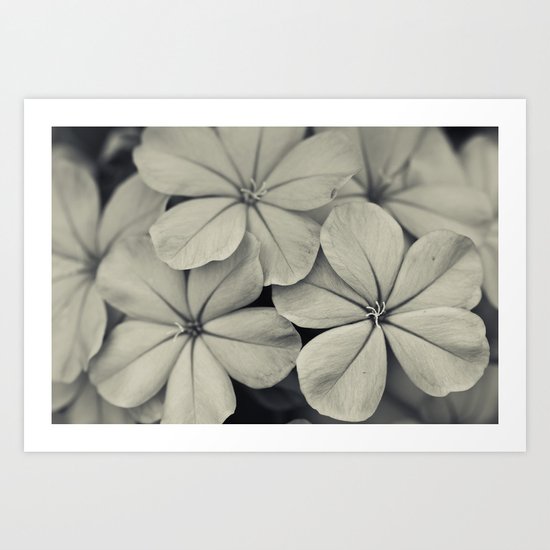 Like Silver Art Print