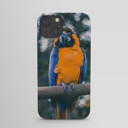 Brazil Photography - Beautiful Blue And Yellow Macaw On A Branch iPhone Case