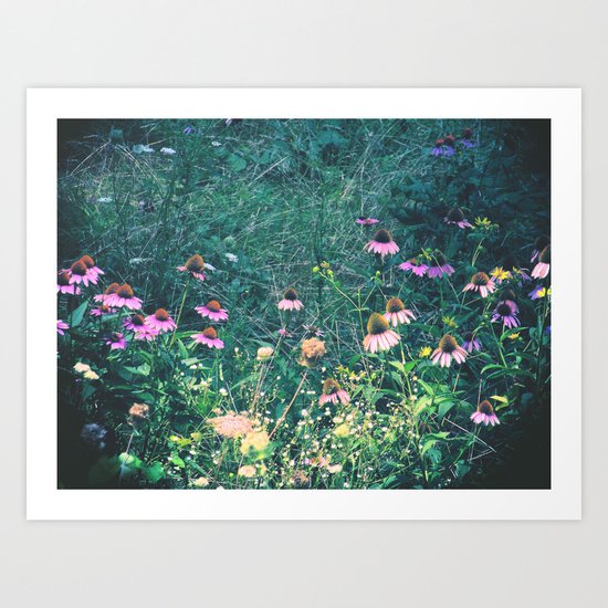 Flowers of the Field Art Print
