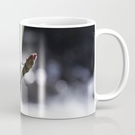 Fly, Battle Creek Falls Coffee Mug