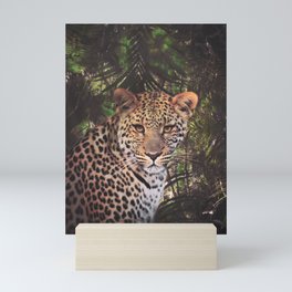 Leopard in the rain forest Mini Art Print