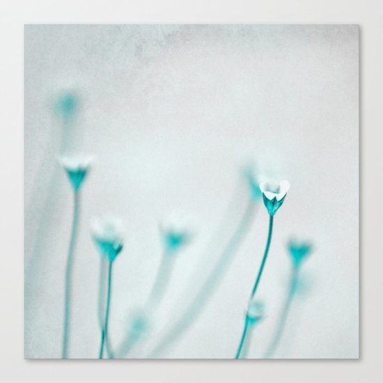 spring fever Canvas Print