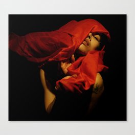 Red Dream Series (I) Canvas Print