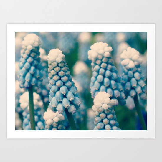 Muscari Field - JUSTART © Art Print
