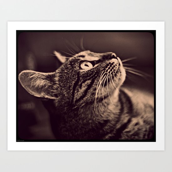 Retro Cat Art Print