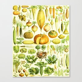 Adolphe Millot "Vegetables" Canvas Print