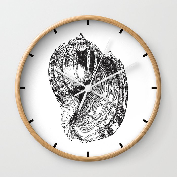Seashell | Sea Shell | Conch Shell | Black and White | Wall Clock
