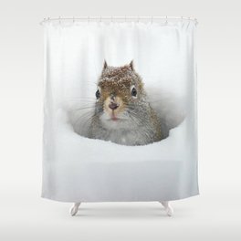 Adirondack Shower Curtains Society6