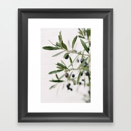 Green Olive branches | Olive Tree | Travel Photography | Art Print | Minimalistic | Fine Art Print Framed Art Print