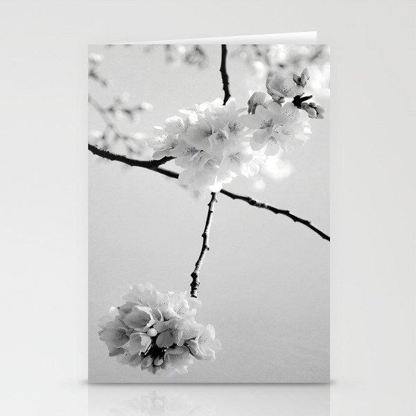 Cherry Blossoms in Black and White Stationery Cards