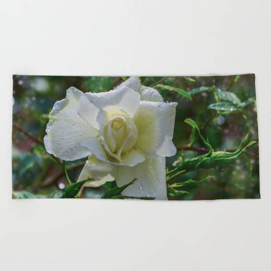 White rose Beach Towel