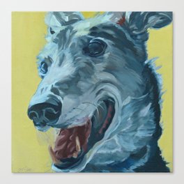 Dilly the Greyhound Portrait Canvas Print