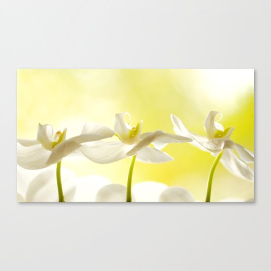 Three Ballerinas Canvas Print