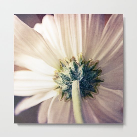 Center Of The Universe Metal Print