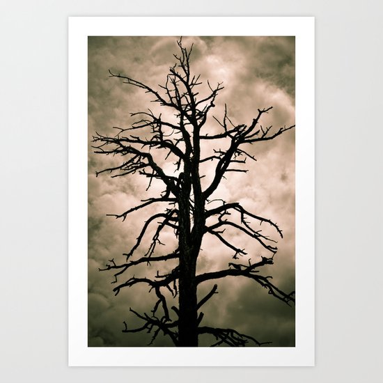 The Coming Storm Art Print