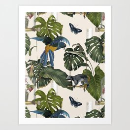 11 x 15 Natural Color Fine Art Paper Blue Hyacinth Macaw Parrot Wall Art Vintage Illustration Print Matte Finish Tropical Bird Poster