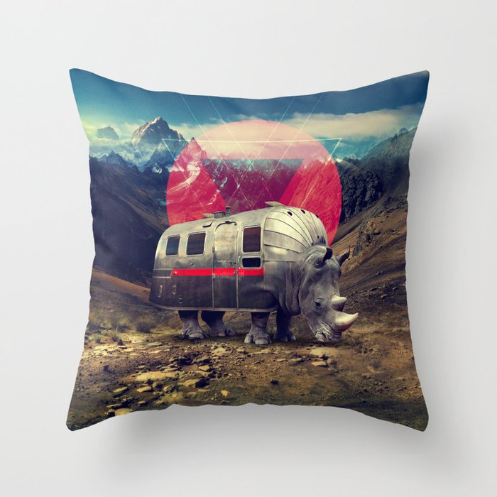 Throw Pillow