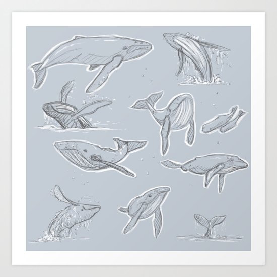 Whales Art Print